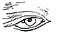 eyes1-1.gif (2605 bytes)