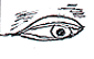 eyes4-1.gif (2624 bytes)