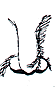 nose1-3.gif (2115 bytes)